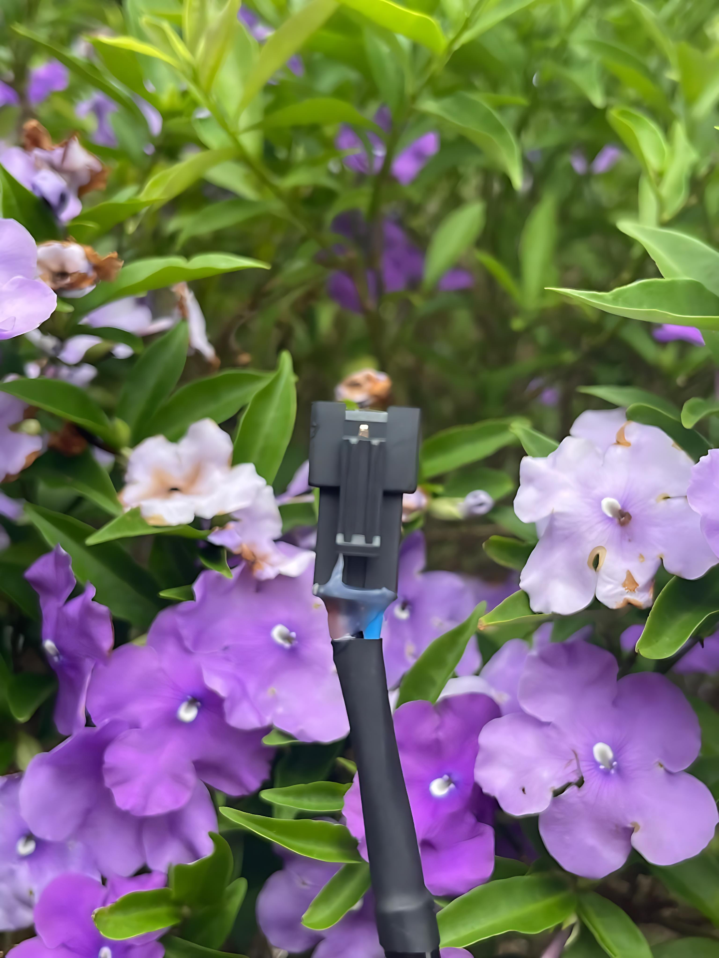 Plug and Play Conversion Kit Throttle